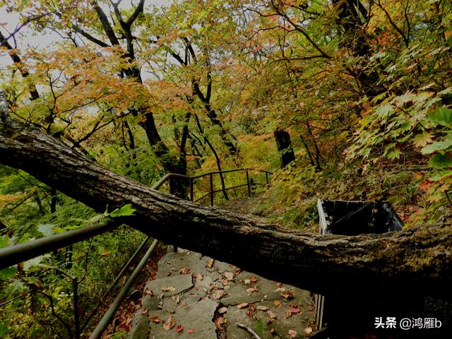 本溪大峡谷一日游攻略(本溪最具挑战的旅游线路)(66)