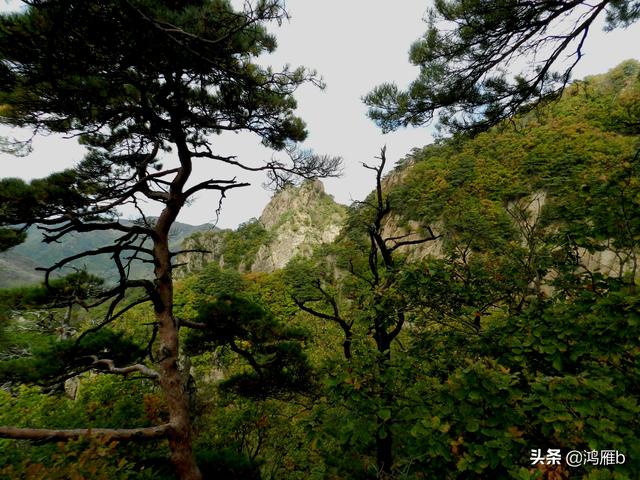 本溪大峡谷一日游攻略(本溪最具挑战的旅游线路)(40)