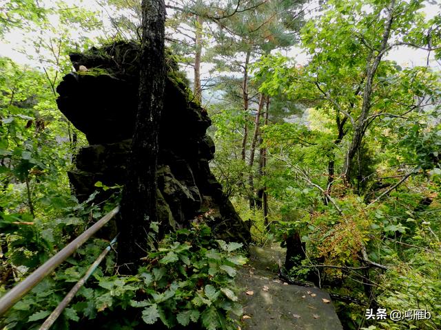 本溪大峡谷一日游攻略(本溪最具挑战的旅游线路)(38)