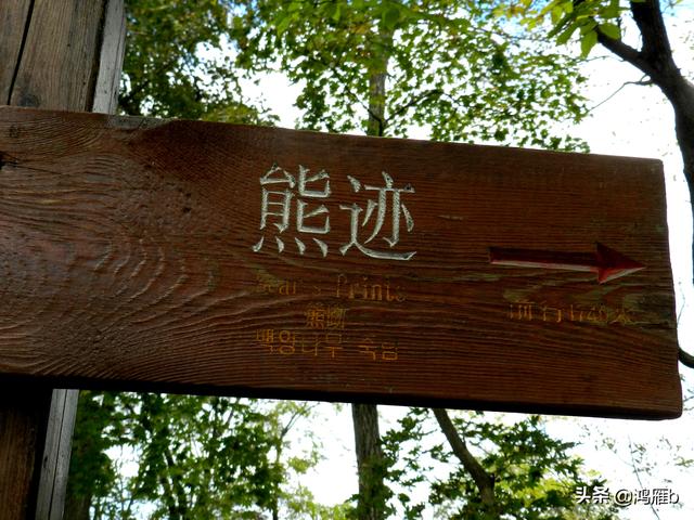 本溪大峡谷一日游攻略(本溪最具挑战的旅游线路)(86)