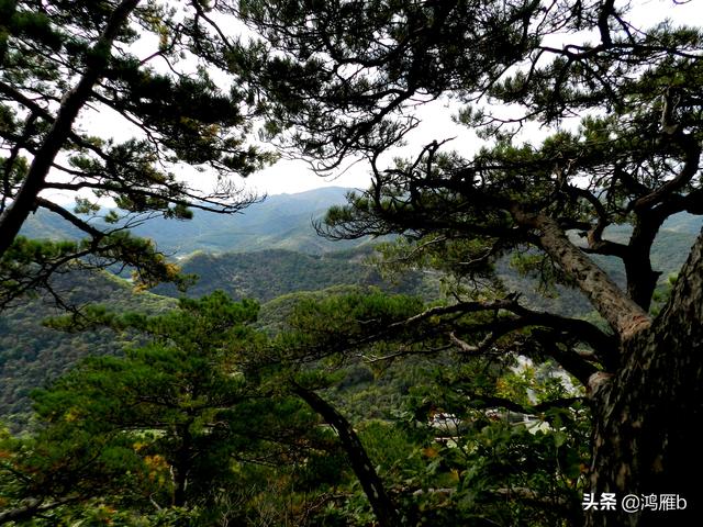 本溪大峡谷一日游攻略(本溪最具挑战的旅游线路)(42)