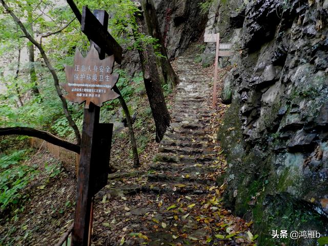 本溪大峡谷一日游攻略(本溪最具挑战的旅游线路)(21)