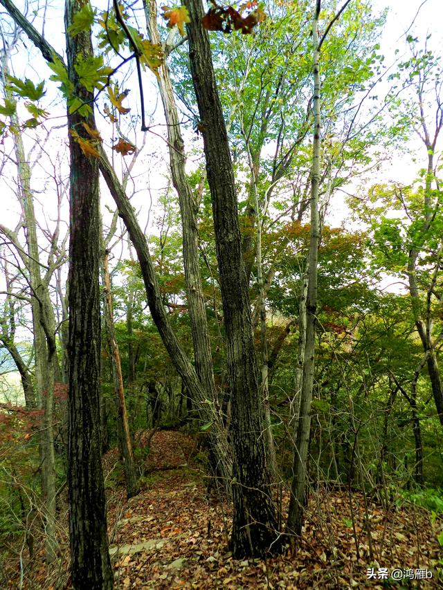 本溪大峡谷一日游攻略(本溪最具挑战的旅游线路)(76)