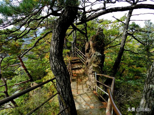 本溪大峡谷一日游攻略(本溪最具挑战的旅游线路)(3)