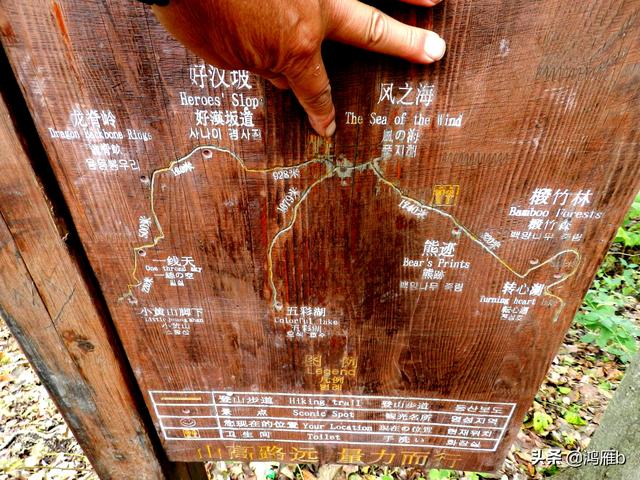 本溪大峡谷一日游攻略(本溪最具挑战的旅游线路)(87)