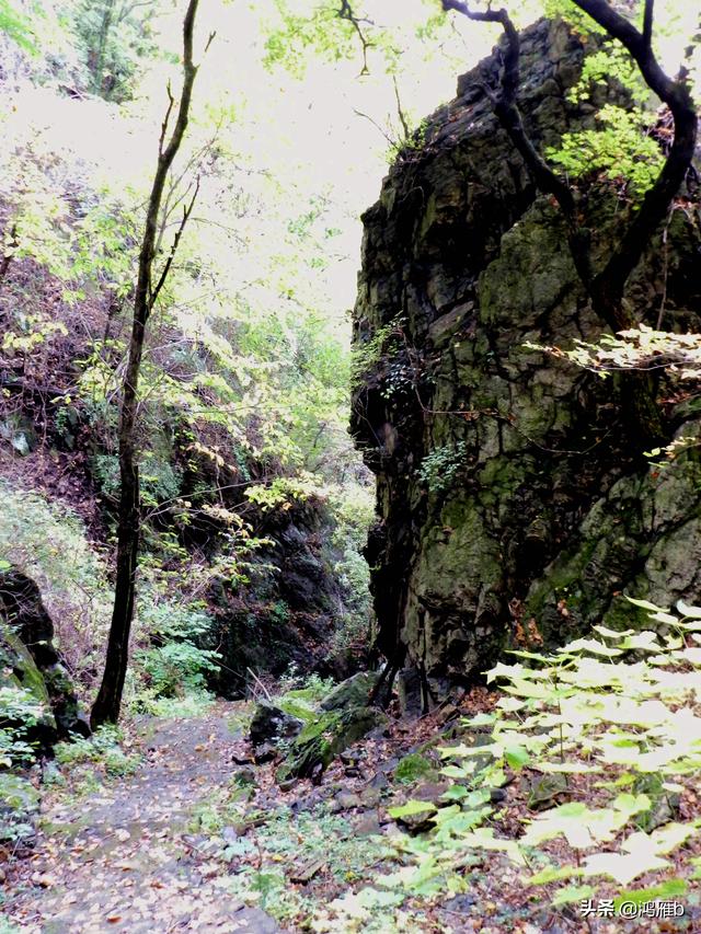 本溪大峡谷一日游攻略(本溪最具挑战的旅游线路)(36)