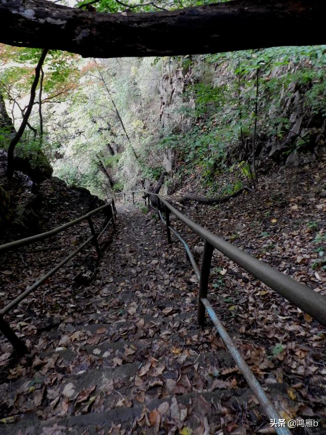 本溪大峡谷一日游攻略(本溪最具挑战的旅游线路)(60)