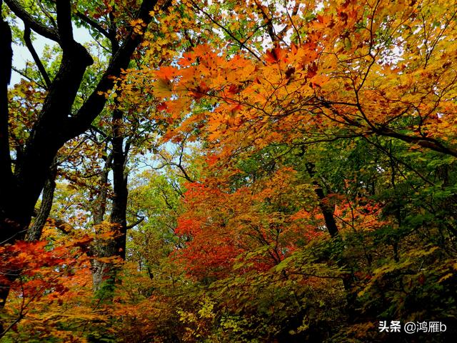 本溪大峡谷一日游攻略(本溪最具挑战的旅游线路)(64)