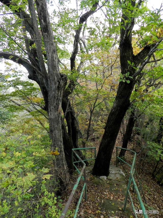 本溪大峡谷一日游攻略(本溪最具挑战的旅游线路)(73)
