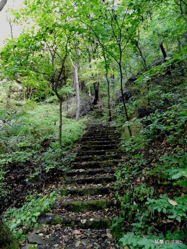 本溪大峡谷一日游攻略(本溪最具挑战的旅游线路)(10)