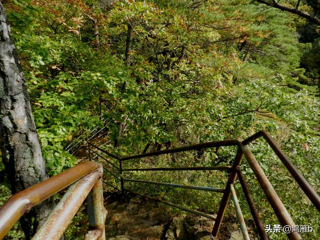 本溪大峡谷一日游攻略(本溪最具挑战的旅游线路)(56)