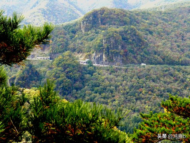 本溪大峡谷一日游攻略(本溪最具挑战的旅游线路)(46)