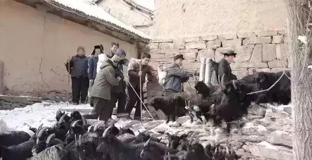 中国美女主持人一夜之间神秘失踪,11年后,真相震撼曝光…