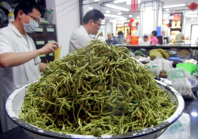 中药金银花产地哪里(金银花产地)