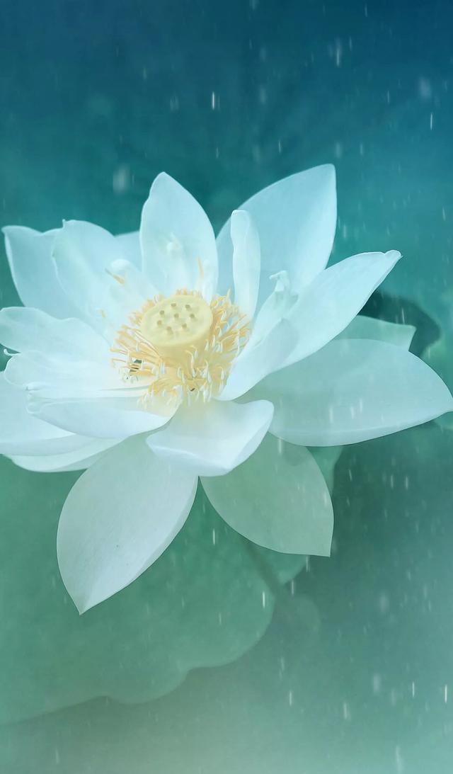 朋友圈封面壁纸，之大话西游，至尊宝 朱茵