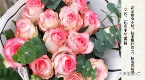 切花月季十大品种(切花月季有哪些好品种)