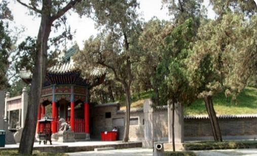 洛阳最值得去的三个旅游景点（洛阳旅游必去的6大景点）(33)