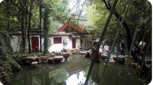 洛阳最值得去的三个旅游景点（洛阳旅游必去的6大景点）(20)