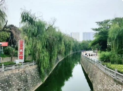 洛阳最值得去的三个旅游景点（洛阳旅游必去的6大景点）(36)
