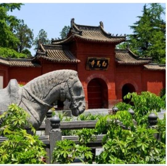 洛阳最值得去的三个旅游景点（洛阳旅游必去的6大景点）(21)