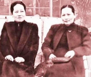 宋庆龄为何终生未育?