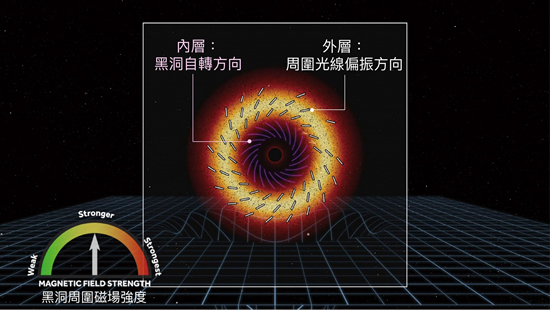 M87 星系中心黑洞的自转方向(顺时钟)与周围光线偏振方向(逆时钟)刚好相应,而这个特定的偏振方向,也就形成黑洞照片上类似丹麦甜甜圈的特殊纹路。资料来源│EHT