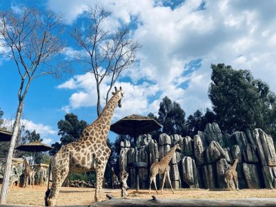 ​周末带孩子去哪里玩比较好，这10个地方，适合周末亲子游