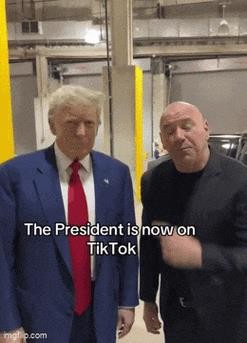 川普特朗普(川普特朗普喜欢熊猫吗)