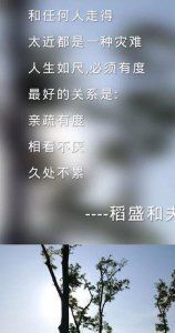 亲疏有别(亲疏有别什么意思)