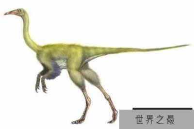 似鸟身女妖龙:以希腊神话的鸟身女妖命名的恐龙
