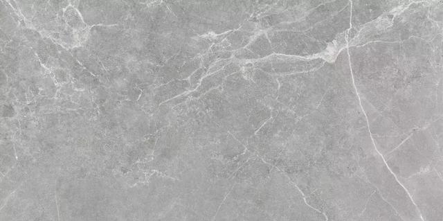 广东佛山十大品牌瓷砖排名(40多款大牌瓷砖新品PK)(49)