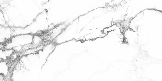 广东佛山十大品牌瓷砖排名(40多款大牌瓷砖新品PK)(23)