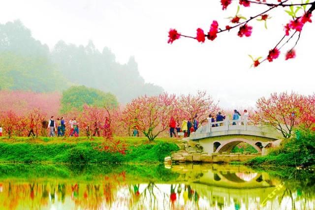 佛山旅游必去的4个景点有哪些呢（佛山这56个景点你去过几个）(19)