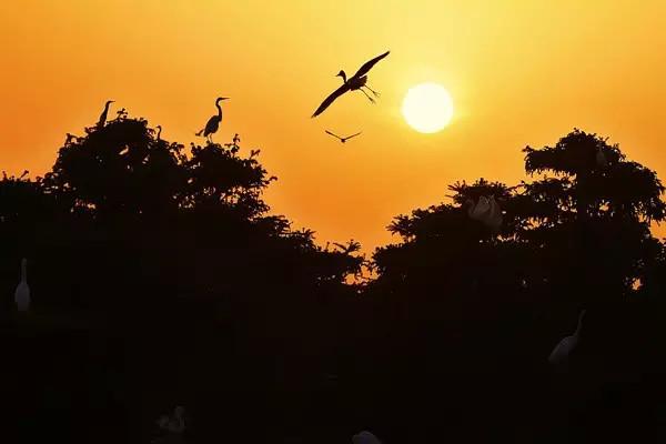 佛山旅游必去的4个景点有哪些呢（佛山这56个景点你去过几个）(40)