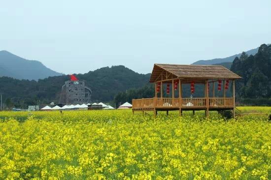 佛山旅游必去的4个景点有哪些呢（佛山这56个景点你去过几个）(57)