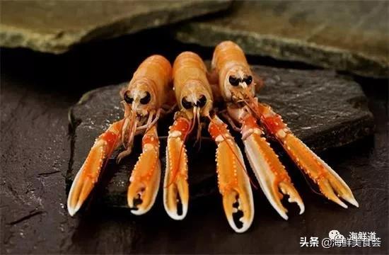 海鲜种类有哪些最好吃的是哪种(市场常见的102种海鲜)(34)