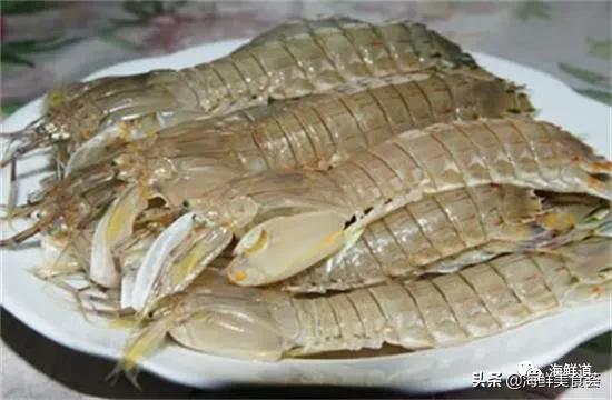 海鲜种类有哪些最好吃的是哪种(市场常见的102种海鲜)(97)