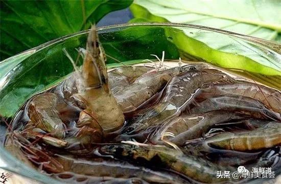 海鲜种类有哪些最好吃的是哪种(市场常见的102种海鲜)(59)