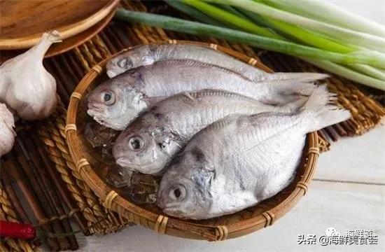 海鲜种类有哪些最好吃的是哪种(市场常见的102种海鲜)(24)