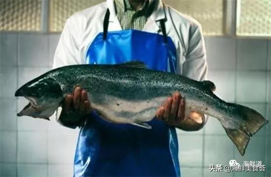 海鲜种类有哪些最好吃的是哪种(市场常见的102种海鲜)(65)