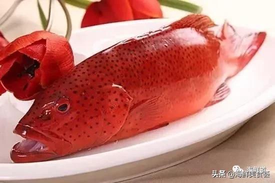 海鲜种类有哪些最好吃的是哪种(市场常见的102种海鲜)(1)