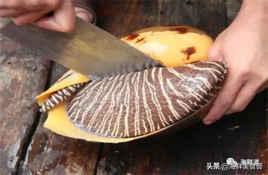 海鲜种类有哪些最好吃的是哪种(市场常见的102种海鲜)(25)