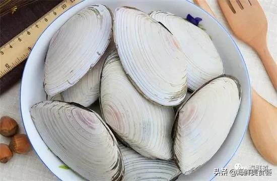 海鲜种类有哪些最好吃的是哪种(市场常见的102种海鲜)(32)