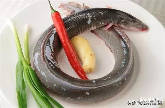 海鲜种类有哪些最好吃的是哪种(市场常见的102种海鲜)(66)