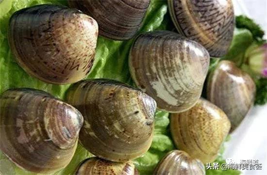 海鲜种类有哪些最好吃的是哪种(市场常见的102种海鲜)(67)