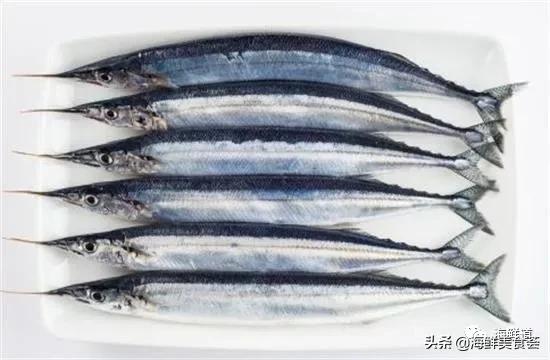 海鲜种类有哪些最好吃的是哪种(市场常见的102种海鲜)(89)