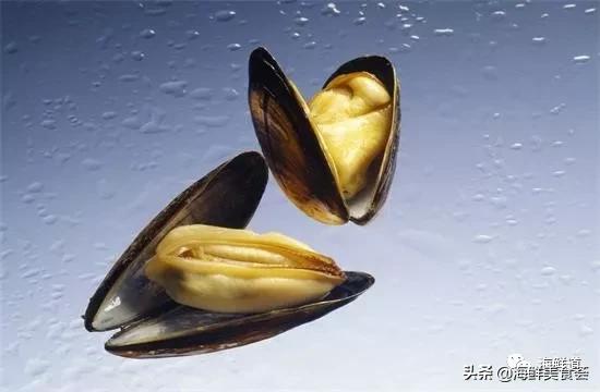 海鲜种类有哪些最好吃的是哪种(市场常见的102种海鲜)(61)