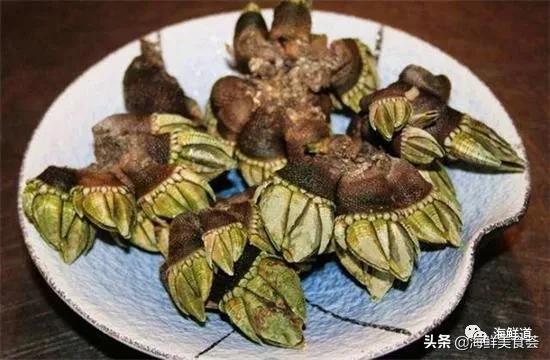 海鲜种类有哪些最好吃的是哪种(市场常见的102种海鲜)(53)