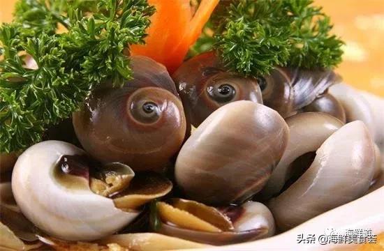 海鲜种类有哪些最好吃的是哪种(市场常见的102种海鲜)(99)