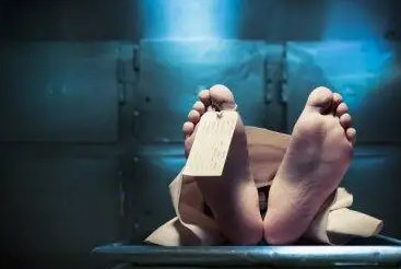 头七祭是什么意思 (祭拜头七要说什么)-图8 头七祭是什么意思 (祭拜头七要说什么)-图8